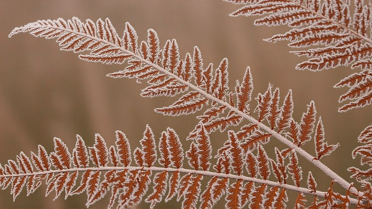 What’s Next: A Winter That Might Not End